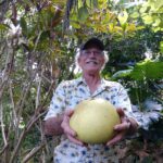 Bob gives you a pomelo on the edible tour