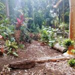 Trail into the Gully from Ahilama Terraces