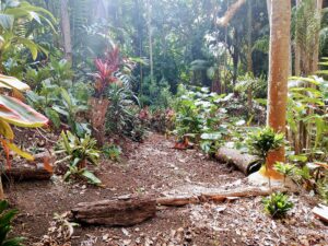 Trail into the Gully from Ahilama Terraces